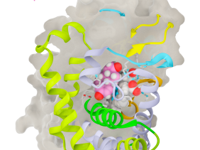 aromatase enzyme inhibitor exemestane breast cancer drug