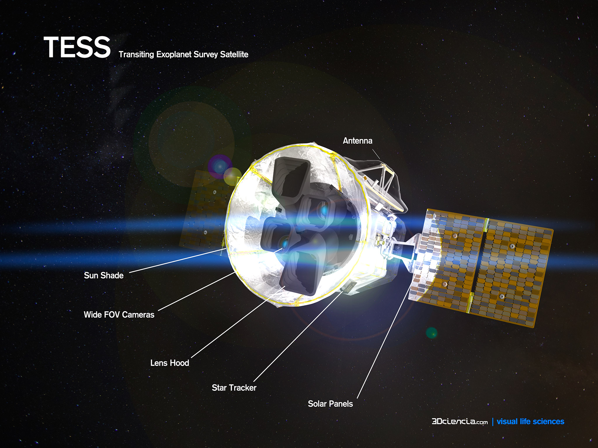 haar Cerebrum regionaal Tess transiting exoplanet survey satelite | 3dciencia